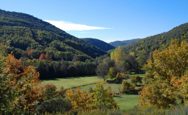 Governo pondera atualizar limites dos parques naturais do Montesinho, Douro e Alvão