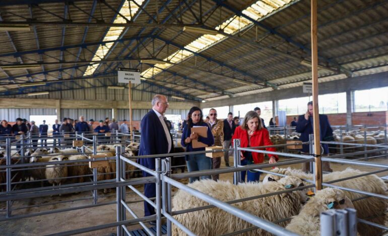 Governo incentiva pastoreio com apoios até 30 mil euros e aposta na redução de combustível