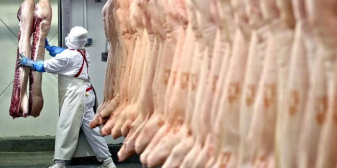 Matadouro do Cachão entra em insolvência e pode atirar 20 trabalhadores para a rua