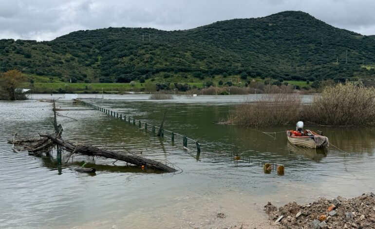 Presidente do município de Torre de Moncorvo pede celeridade nos apoios aos agricultores afetados pelo mau tempo