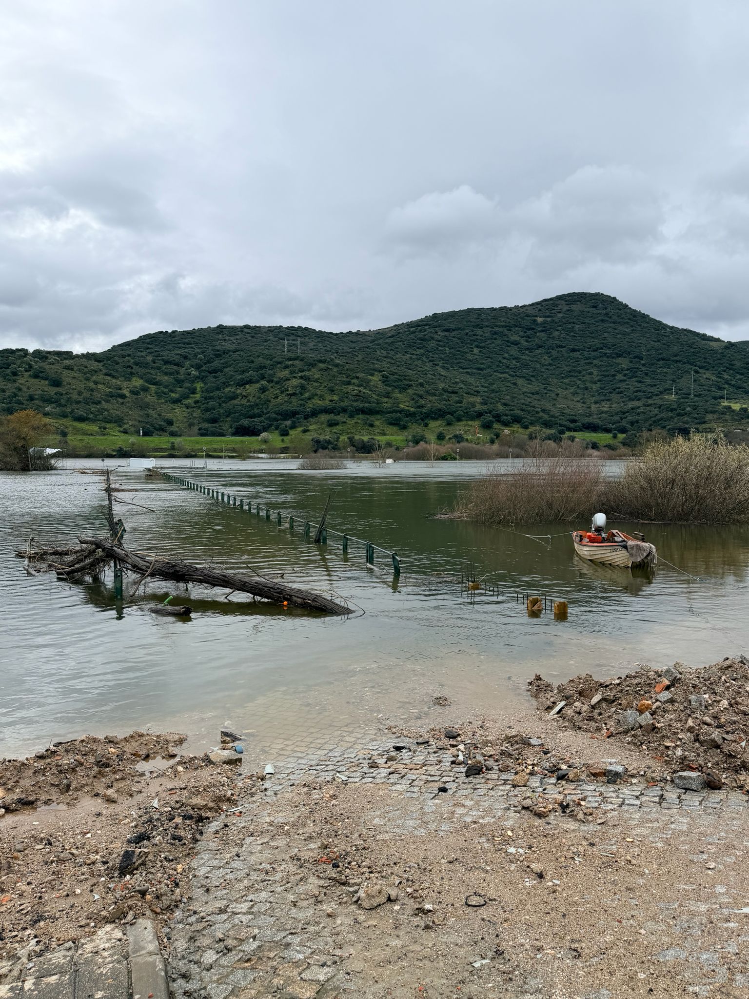 Presidente do município de Torre de Moncorvo pede celeridade nos apoios aos agricultores afetados pelo mau tempo
