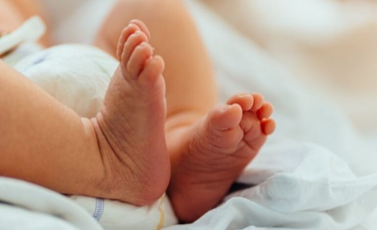 Bragança continua a registar poucos nascimentos no arranque do ano