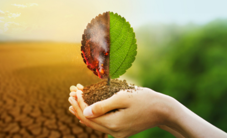 CIM-TTM integra projeto europeu USE4FOREST para prevenir incêndios