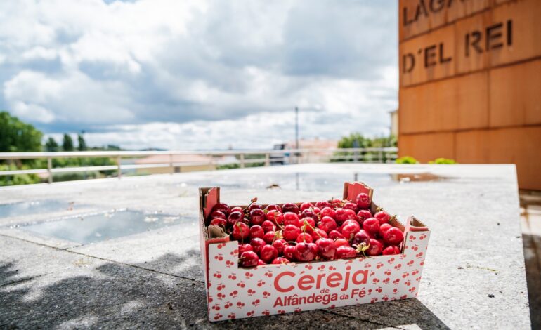 Mercado Cereja&Co arranca com promessa de ano de excelência para o fruto