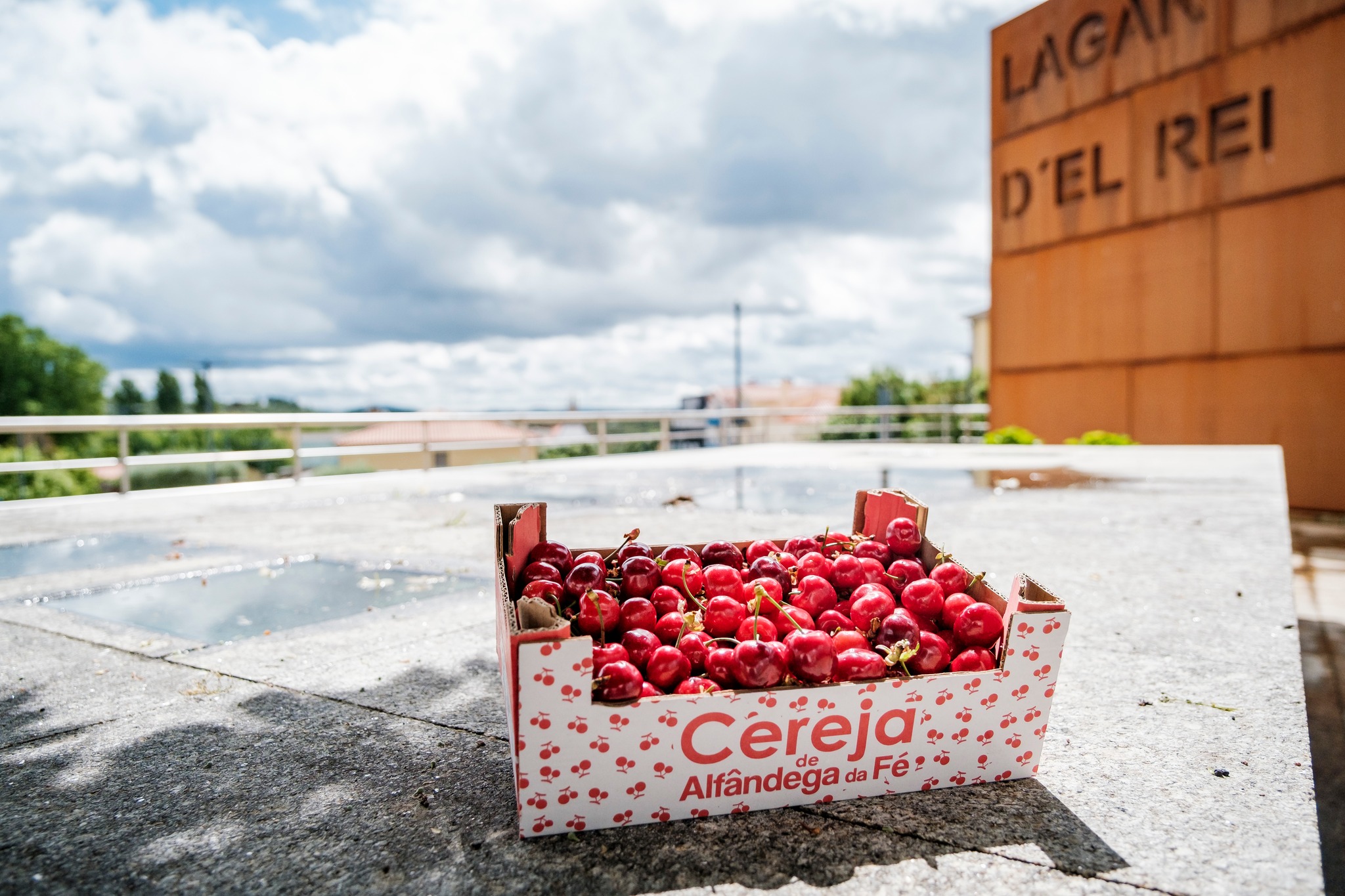 Mercado Cereja&Co arranca com promessa de ano de excelência para o fruto
