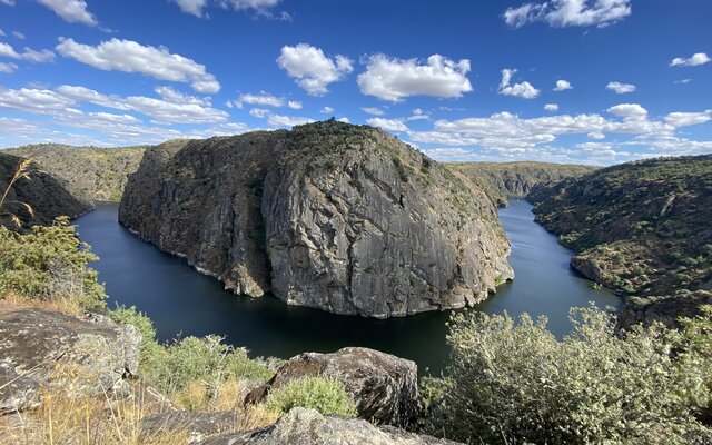 Festival ObservArribas volta às origens com três dias dedicados às aves e à cultura do Douro Internacional
