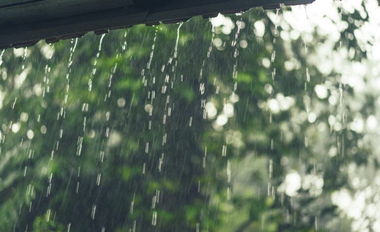 Previsão de chuva e trovoada coloca distritos transmontanos sob aviso amarelo