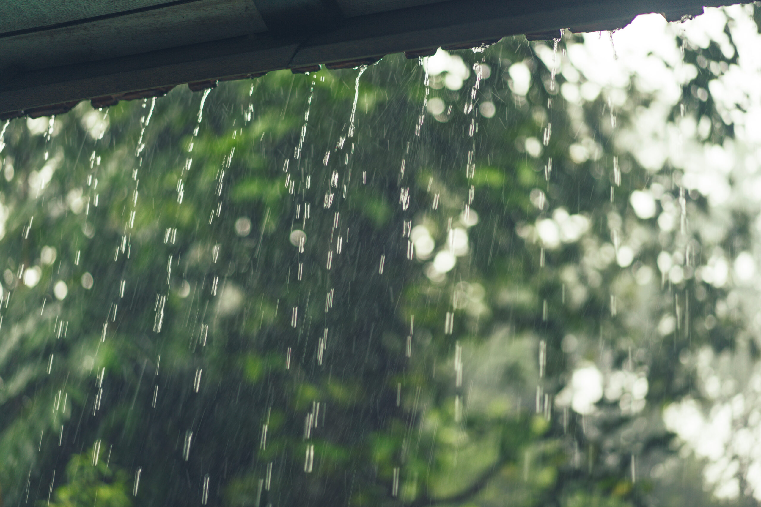 Previsão de chuva e trovoada coloca distritos transmontanos sob aviso amarelo