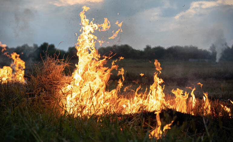 Calor agrava risco de incêndio em Bragança e Vila Real