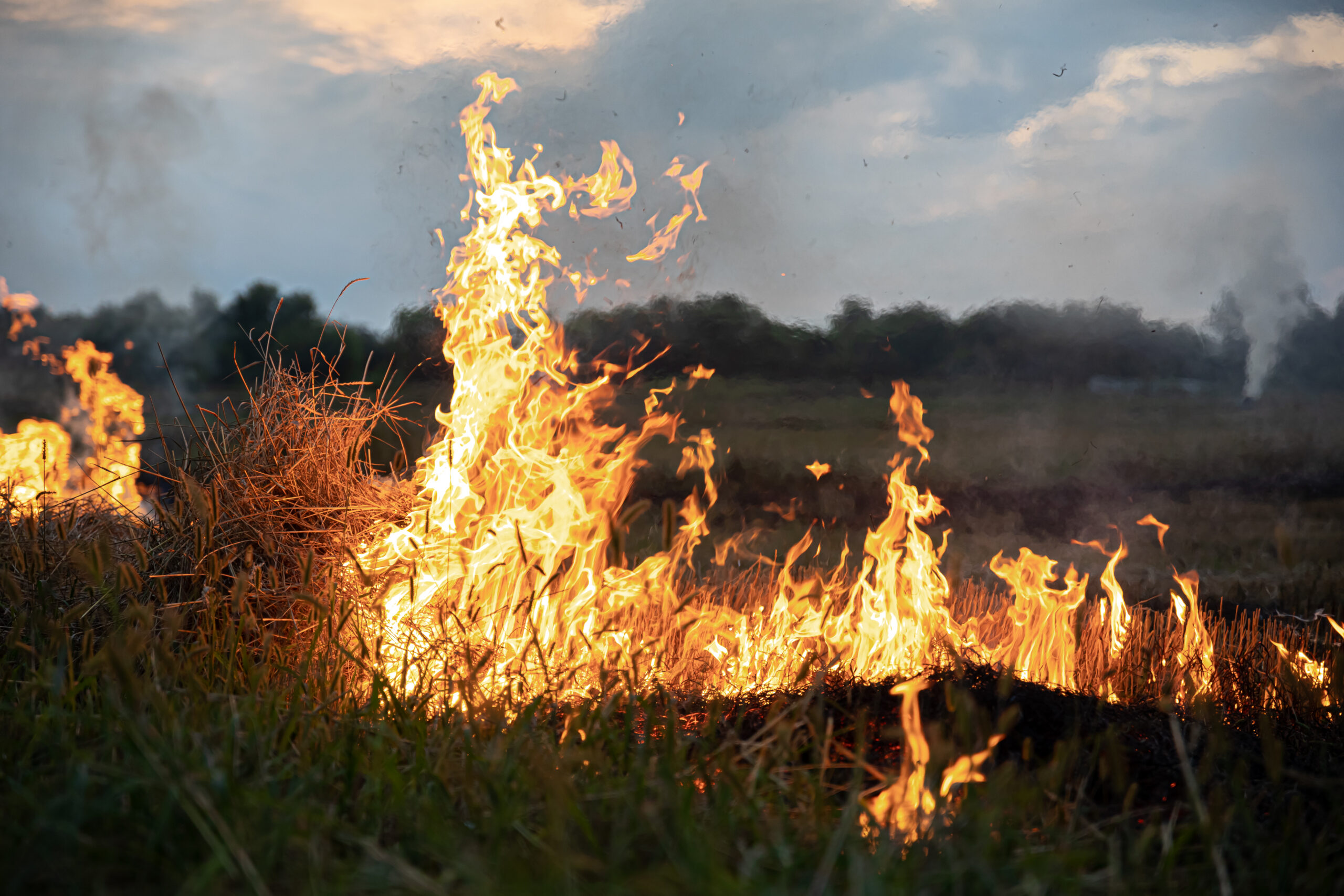 Calor agrava risco de incêndio em Bragança e Vila Real