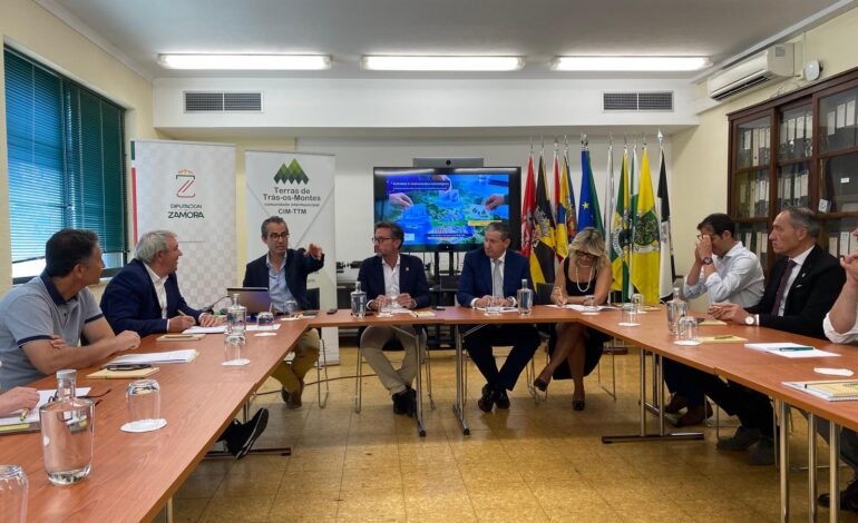 Trás-os-Montes e Zamora criam plano estratégico para desenvolver regiões