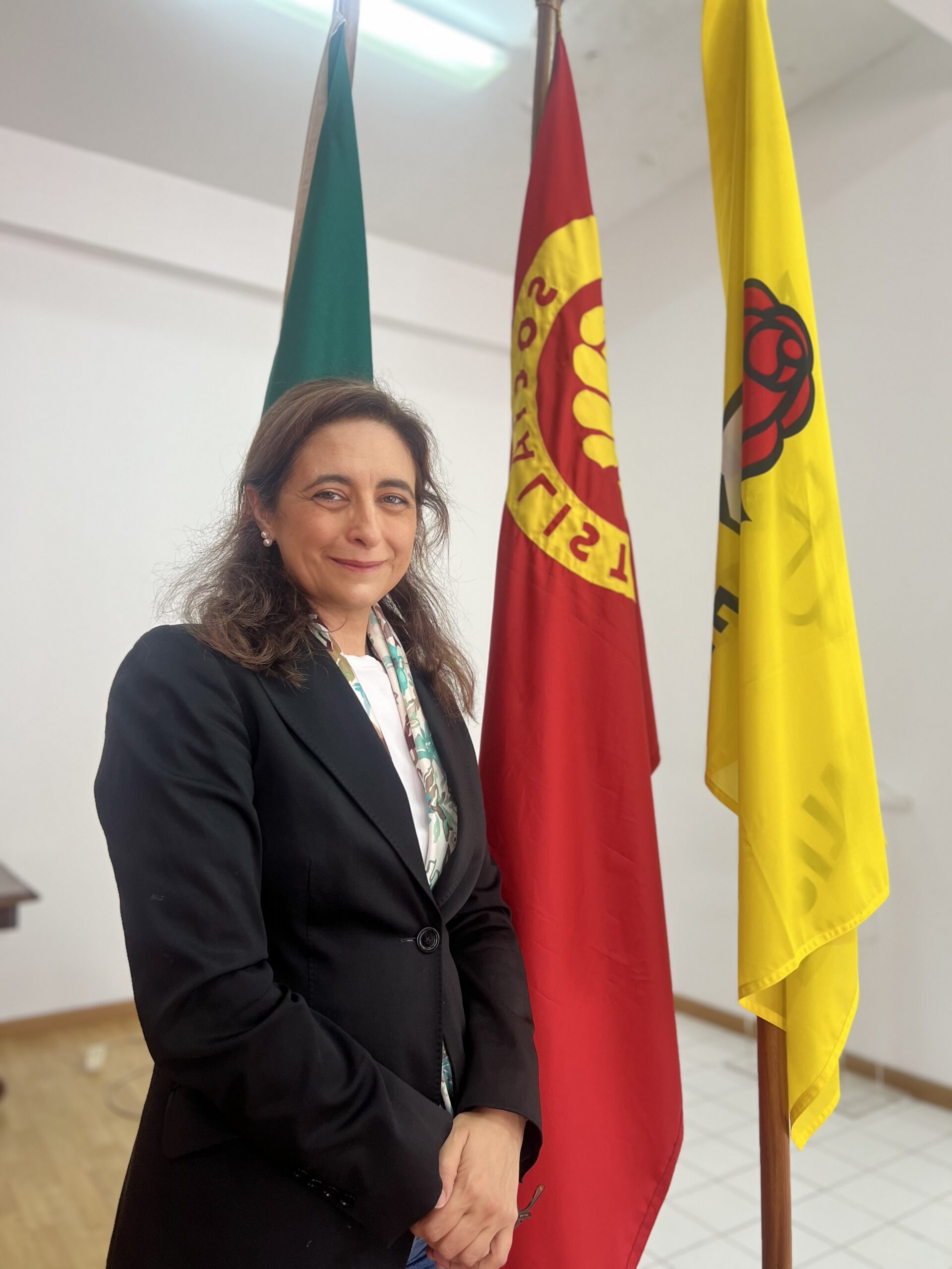 Júlia Rodrigues é candidata à federação do PS para reforçar presença do partido no território