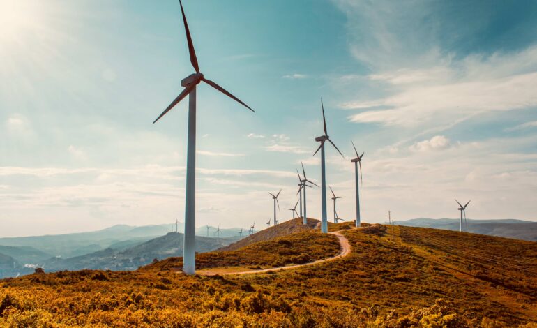 Nordeste Vivo prepara novas ações após primeira sessão de esclarecimento sobre megaprojetos energéticos
