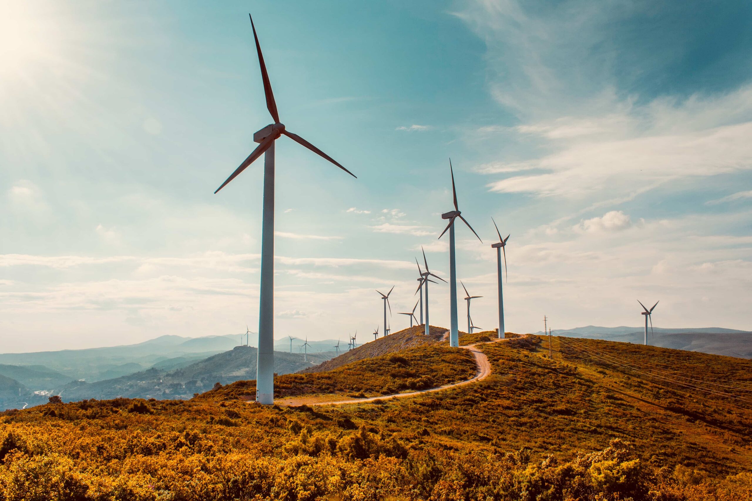 Nordeste Vivo prepara novas ações após primeira sessão de esclarecimento sobre megaprojetos energéticos