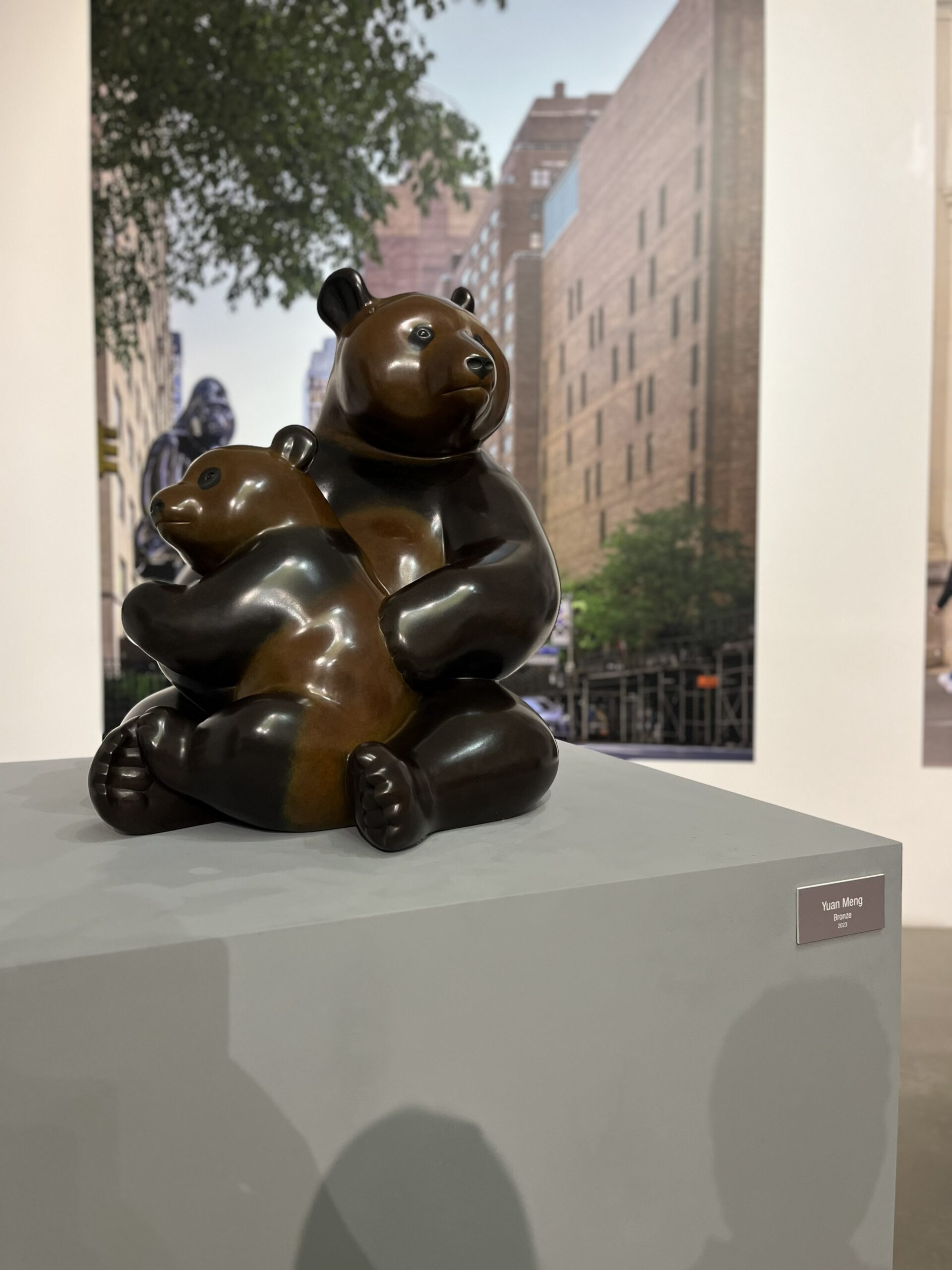 Arte dentro e fora de portas: Bragança acolhe exposição de Michel Bassompierre