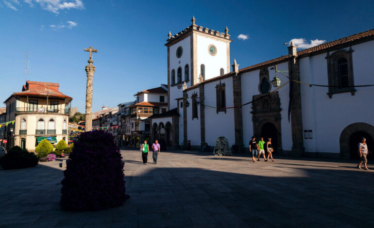 Assembleia Municipal aprova proposta da IL para arborizar Praça da Sé