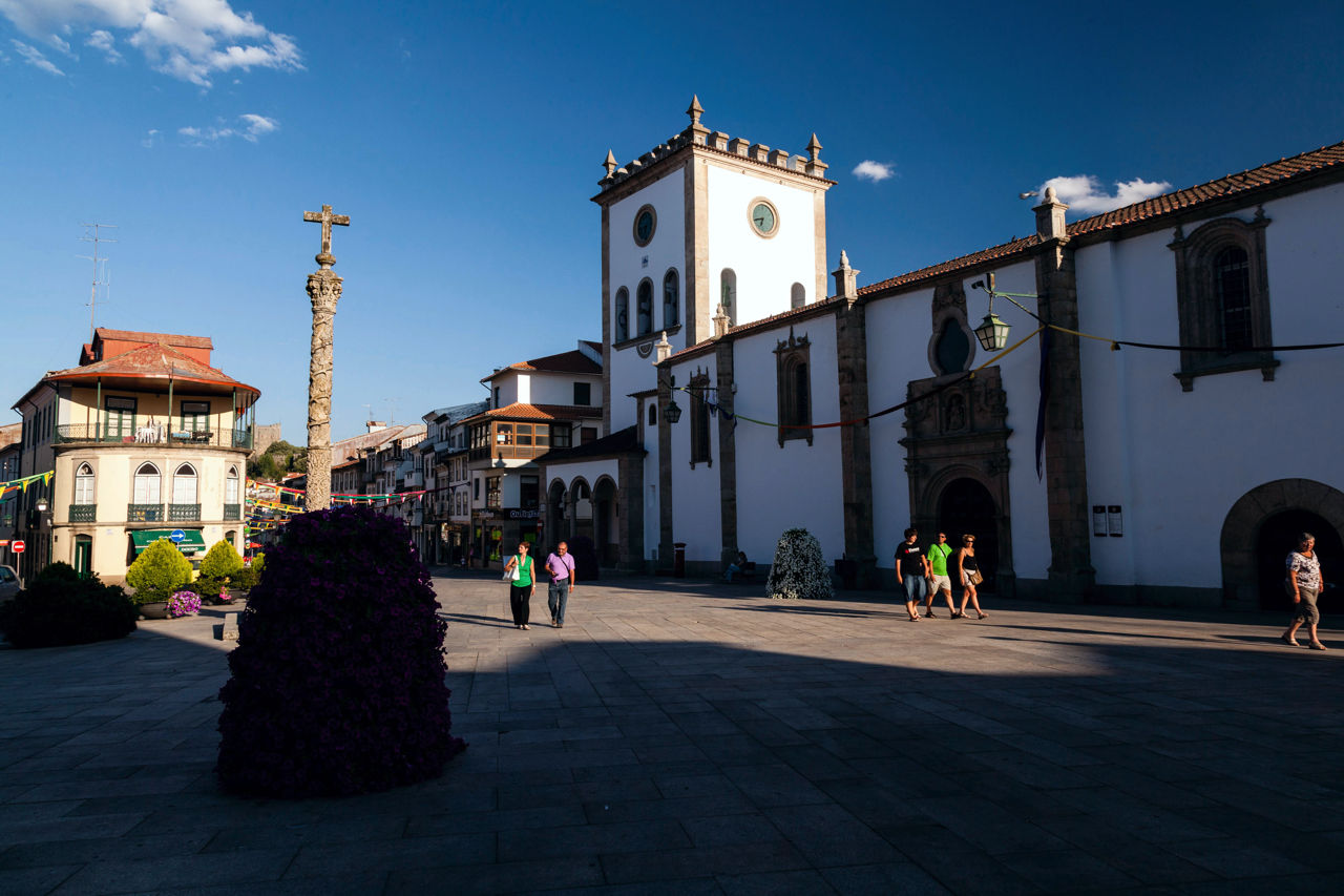 Assembleia Municipal aprova proposta da IL para arborizar Praça da Sé