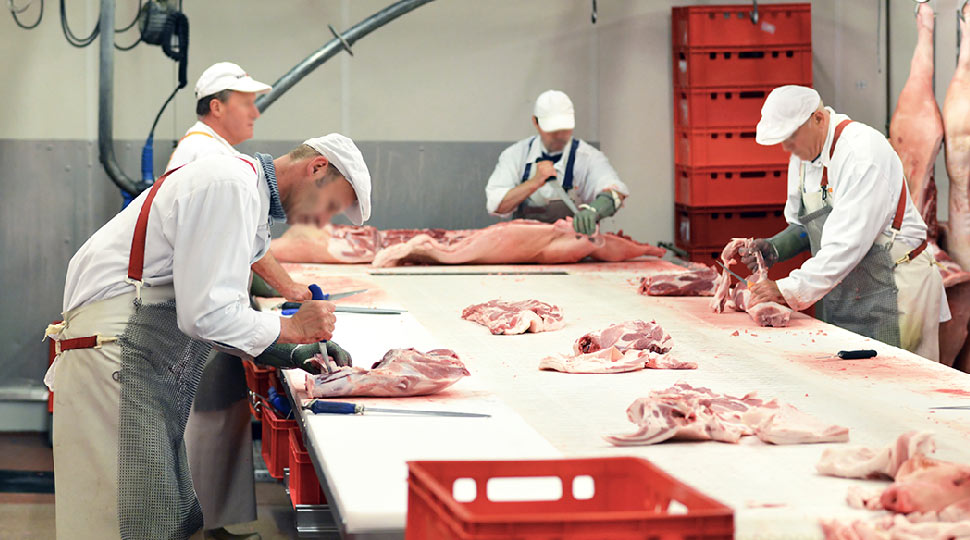Aprovada em Assembleia Municipal recomendação da CDU para salvaguardar Matadouro Industrial do Cachão