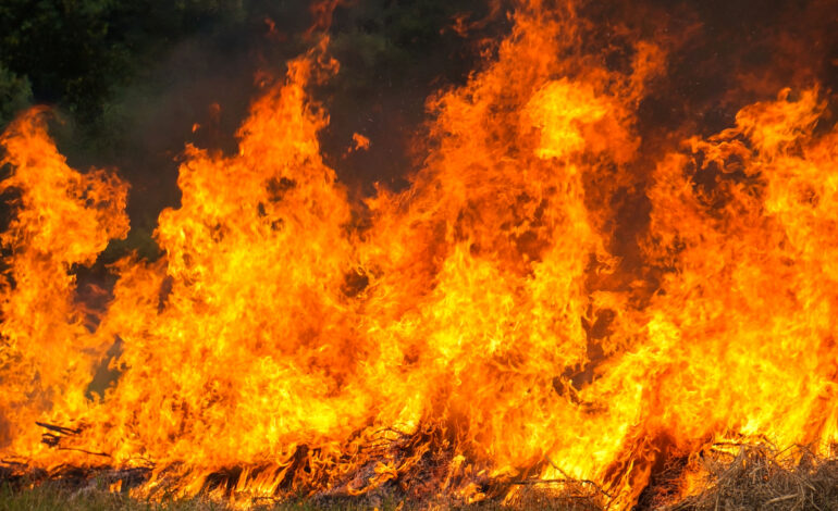 Dois jovens detidos por incêndio florestal em Freixo de Espada À Cinta