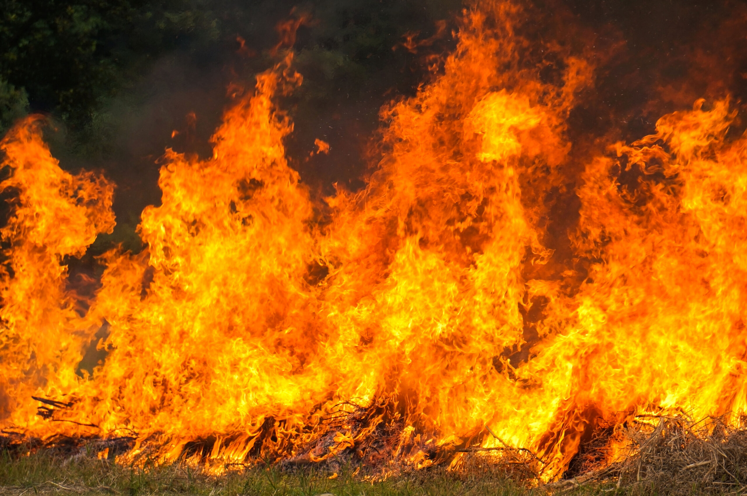 Dois jovens detidos por incêndio florestal em Freixo de Espada À Cinta